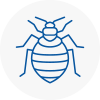 Bed Bug Extermination In Bungay