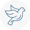 Bird Prevention Bungay