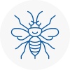 Bungay Hornet Nest Removals