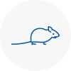 Mice Exterminators In Bungay