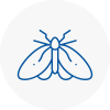 Moth Control Specialists In Bungay