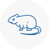 Rat Control Bungay