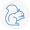 Bungay Rodent Removals