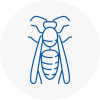 Bungay Wasp Nest Removal